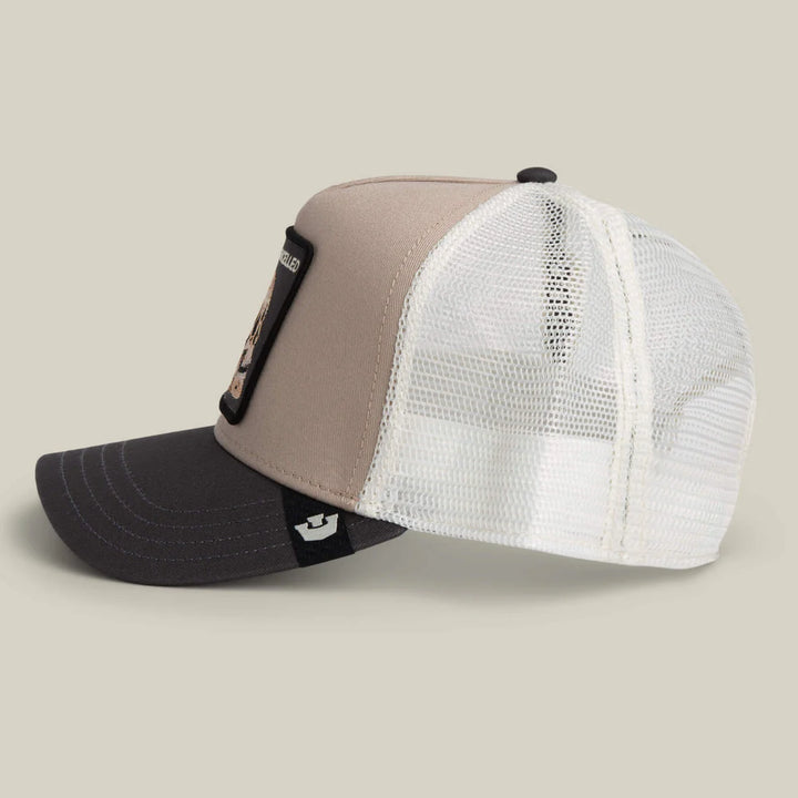 Goorin Bros. The Cancelled Skull trucker multi color - Shop-Tetuan