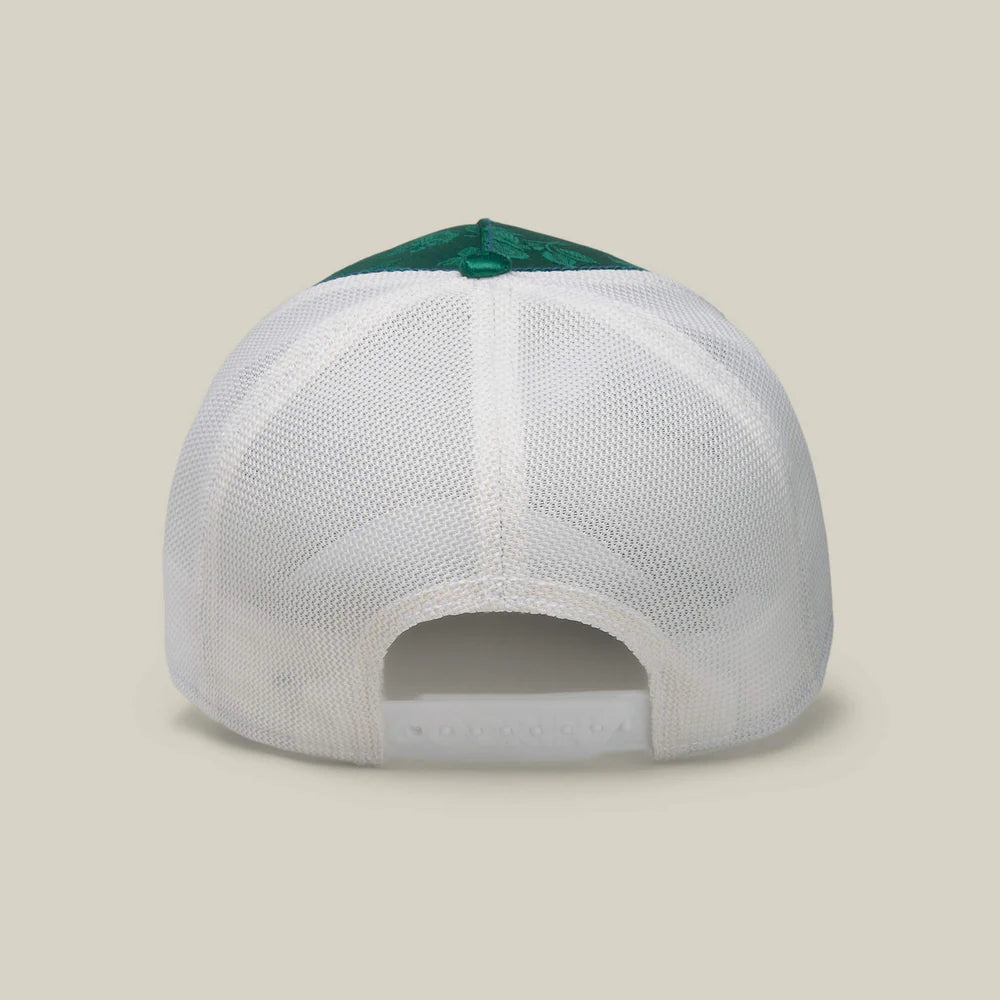 Goorin Bros. Honduras Macaw blank - Shop-Tetuan