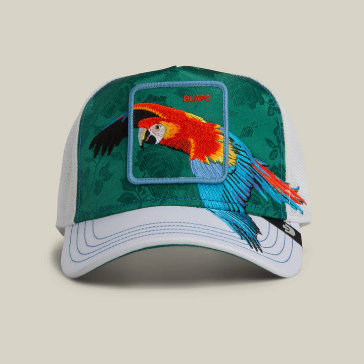 Goorin Bros. Honduras Macaw blank - Shop-Tetuan