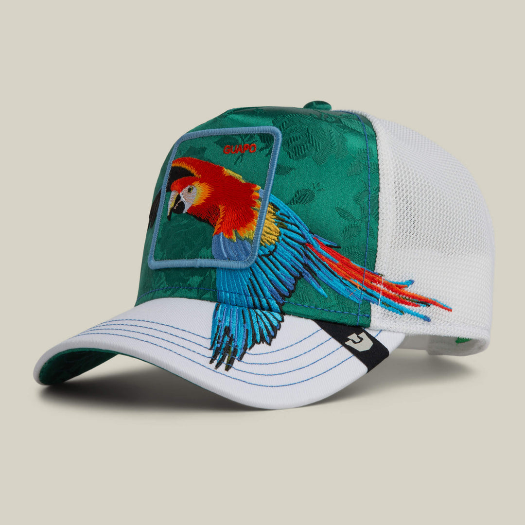 Goorin Bros. Honduras Macaw blank - Shop-Tetuan