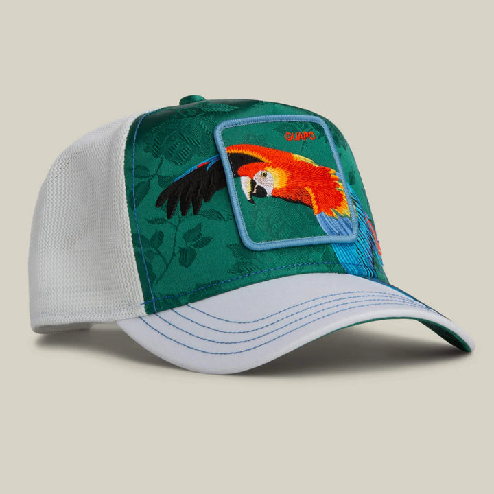 Goorin Bros. Honduras Macaw blank - Shop-Tetuan