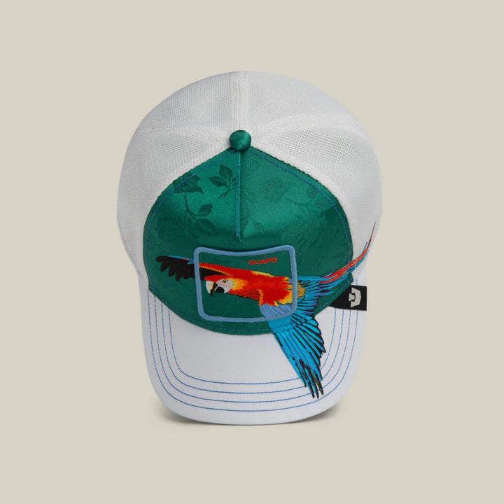 Goorin Bros. Honduras Macaw blank - Shop-Tetuan