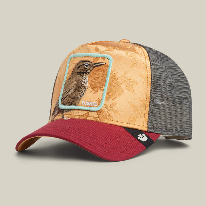 Goorin Bros. Costa Rica Thrush amber - Shop-Tetuan