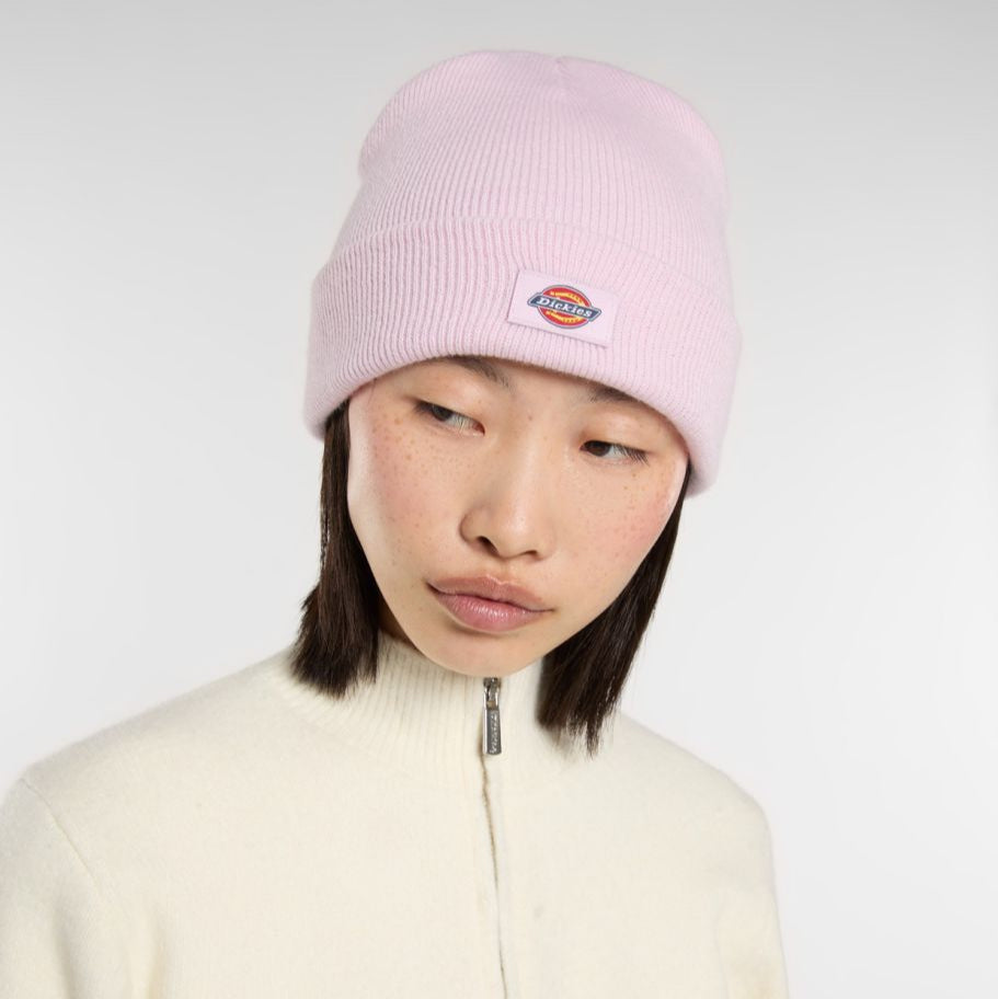Dickies Gibsland beanie winsome orchid - Shop-Tetuan