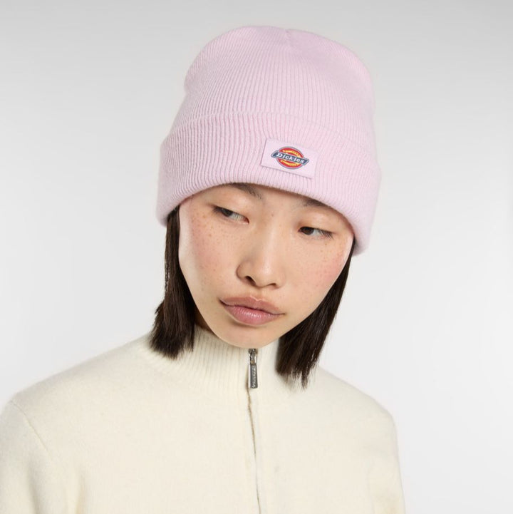 Dickies Gibsland beanie winsome orchid - Shop-Tetuan