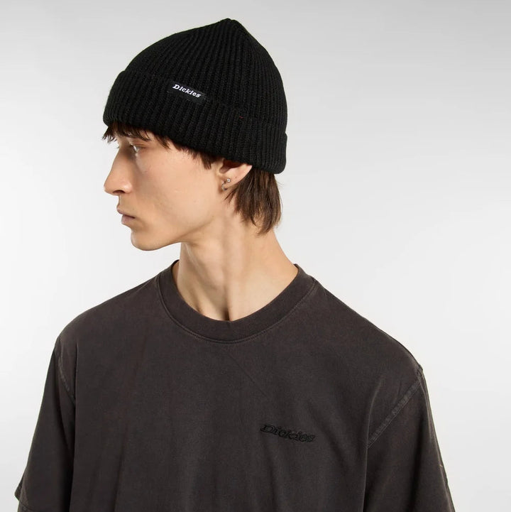 Dickies Woodworth beanie black