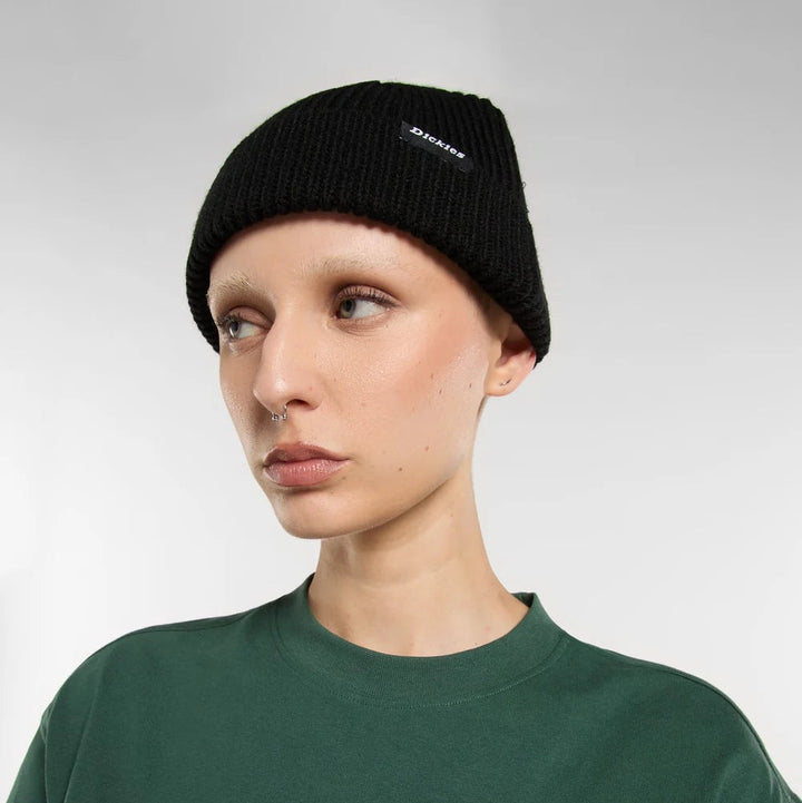 Dickies Woodworth beanie black