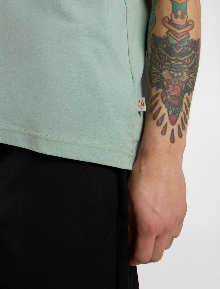 Dickies Icon Logo tee iceberg green