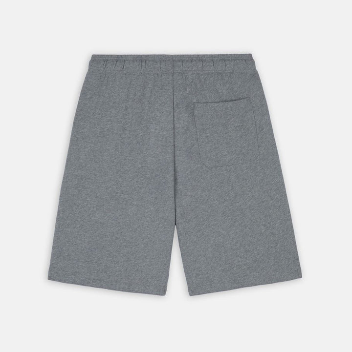 Dickies Mapleton Shorts grey melange