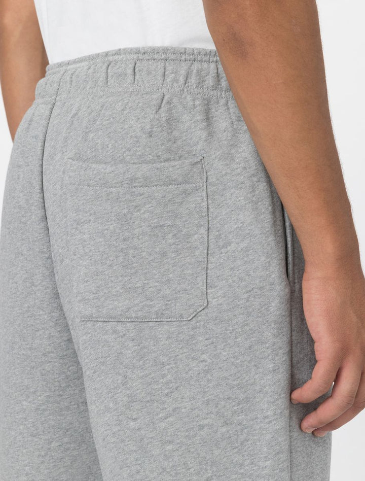 Dickies Mapleton Shorts grey melange