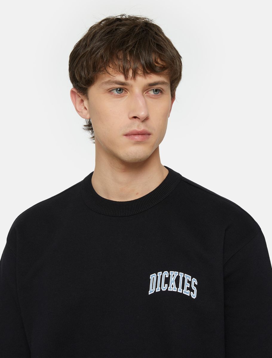 Dickies Aitkin Sweatshirt black/coronet blue - Shop-Tetuan