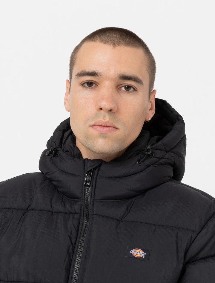 Dickies Waldenburg Hooded Jacket black - Shop-Tetuan