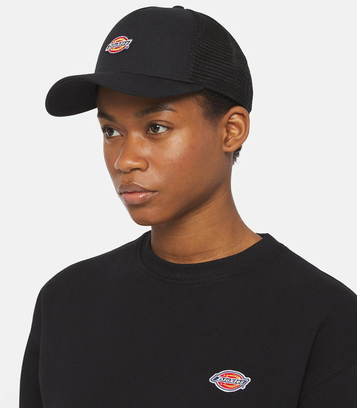 Dickies Hanston Trucker Cap black