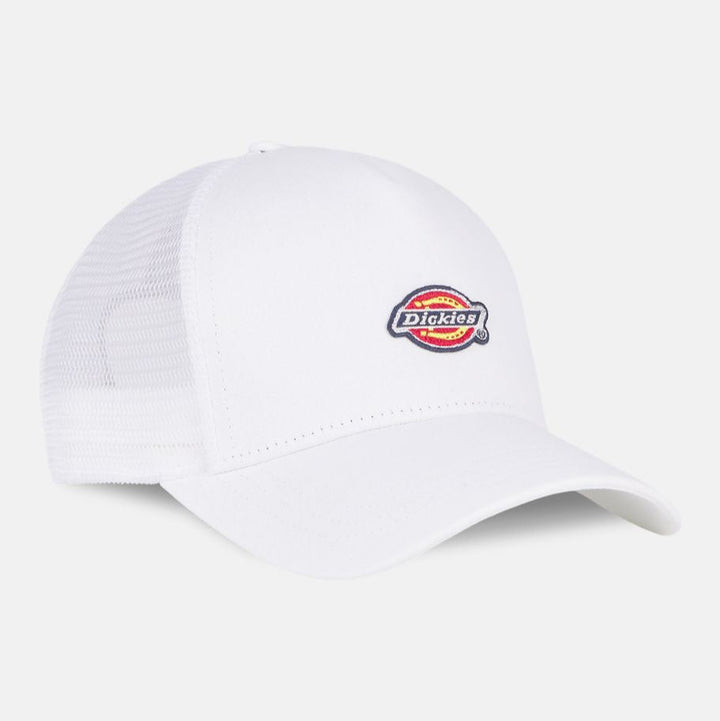 Dickies Hanston Trucker cap cloud