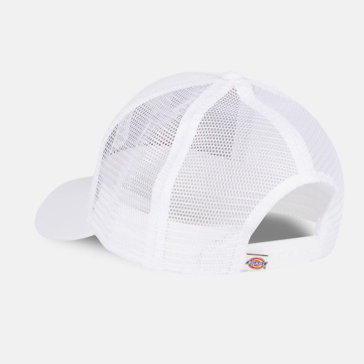 Dickies Hanston Trucker cap cloud