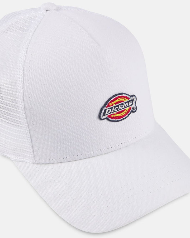 Dickies Hanston Trucker cap cloud