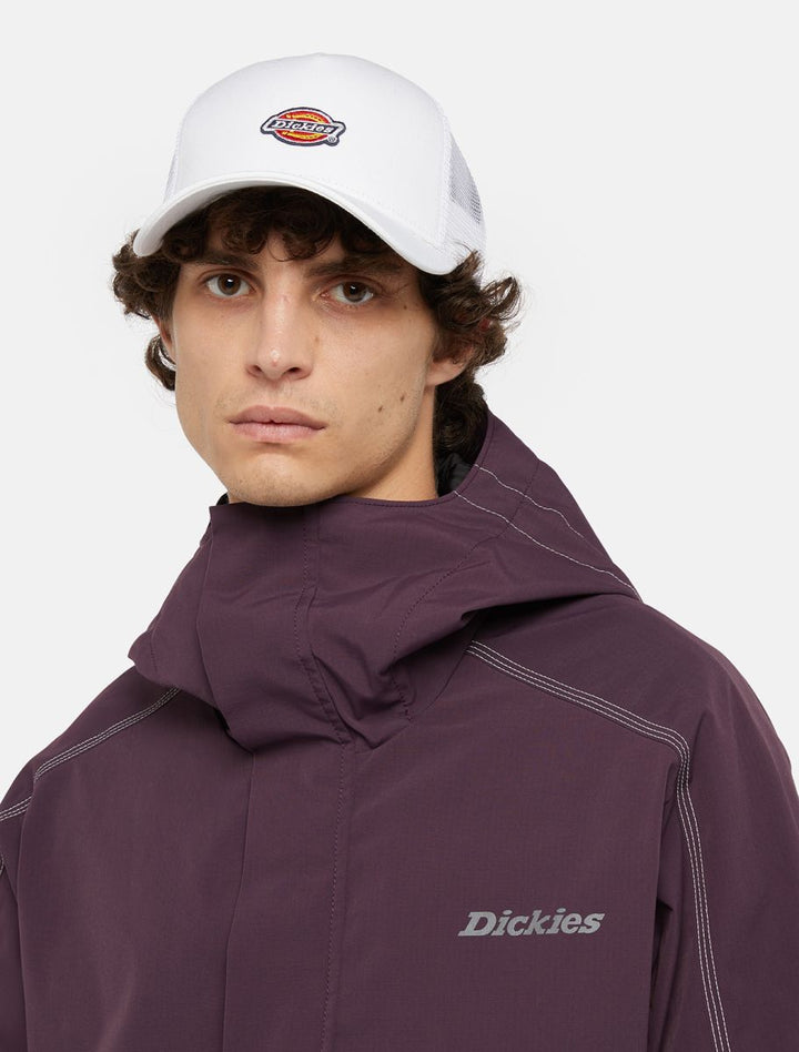 Dickies Hanston Trucker cap cloud