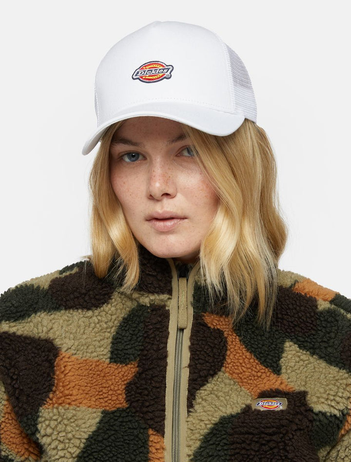 Dickies Hanston Trucker cap cloud