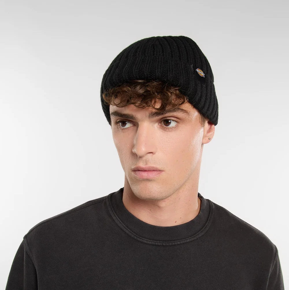 Dickies Lockwood Beanie Hat black