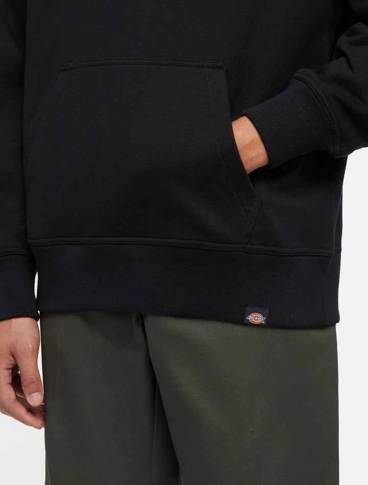 Dickies Globe Hoodie black - Shop-Tetuan