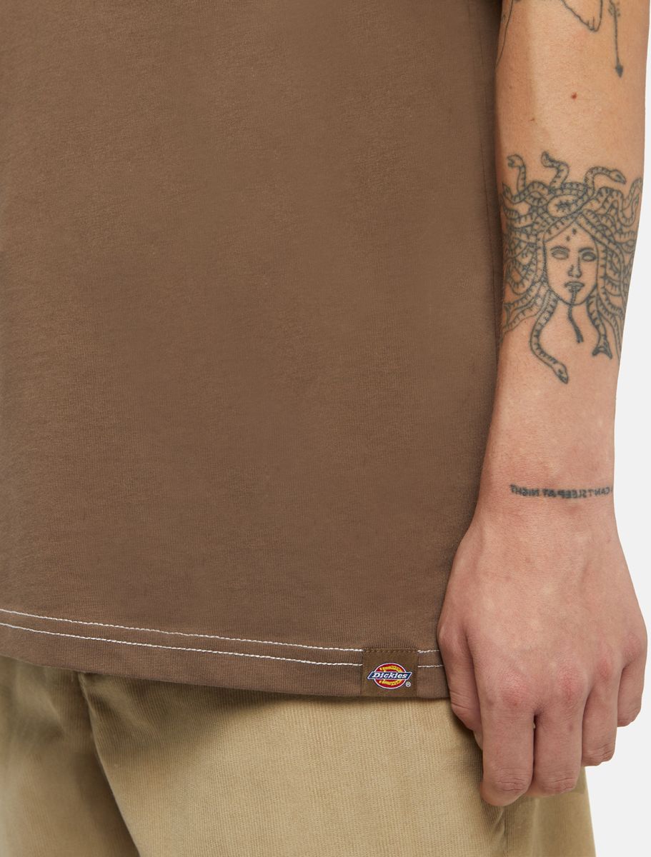 Dickies Philipsburg tee brown - Shop-Tetuan