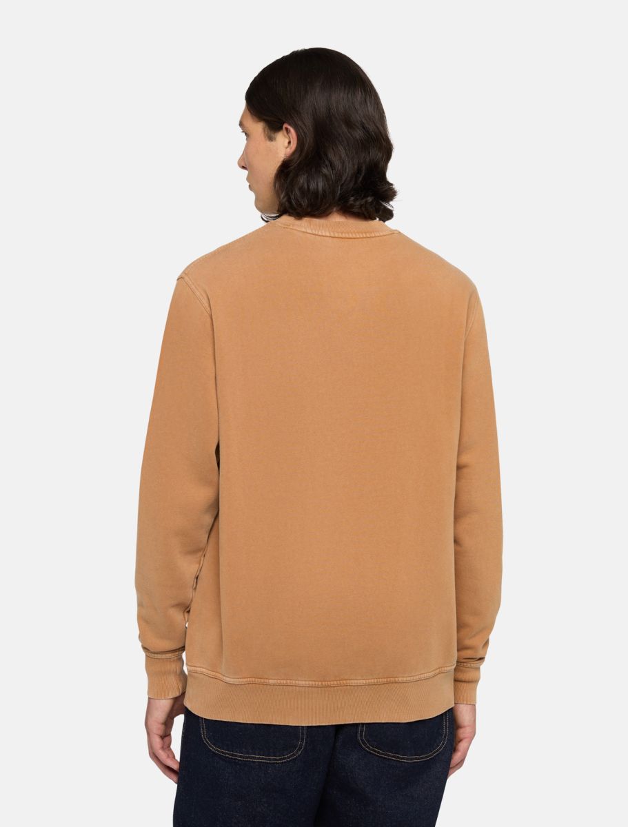 Dickies Plentywood sweatshirt brown - Shop-Tetuan