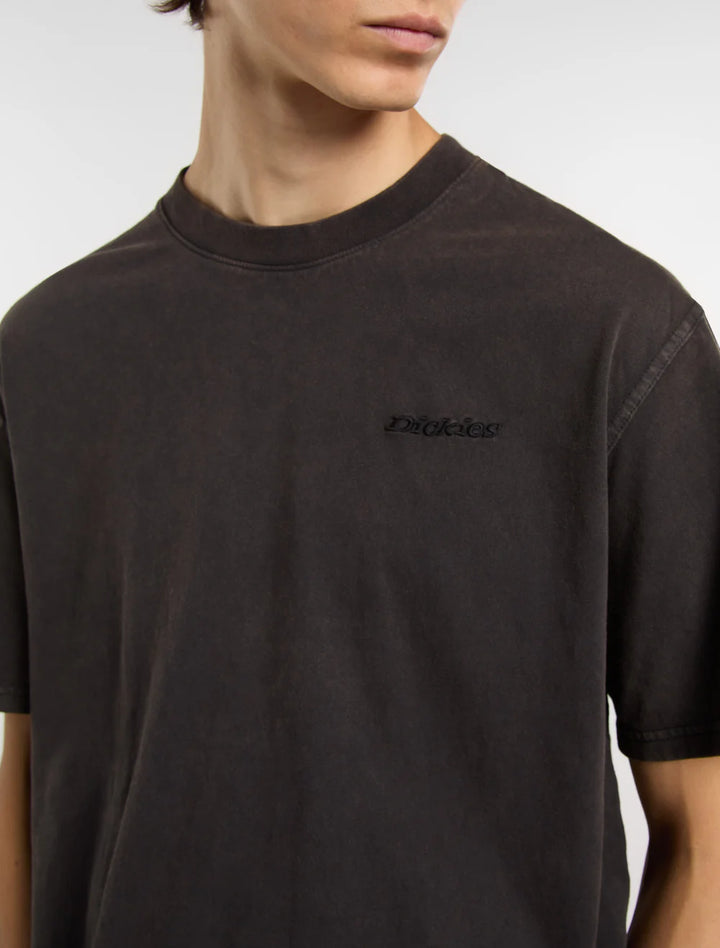 Dickies Plentywood lightweight tee black - Shop-Tetuan