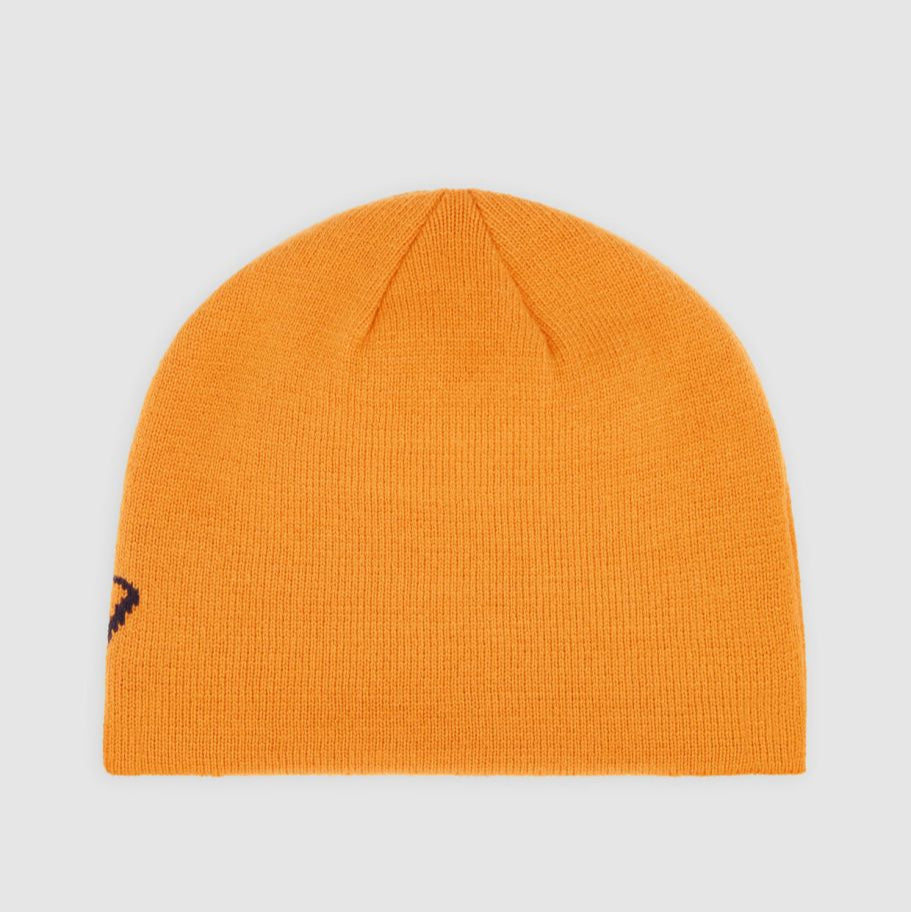 Dickies Summerdale Logo beanie autumn map - Shop-Tetuan