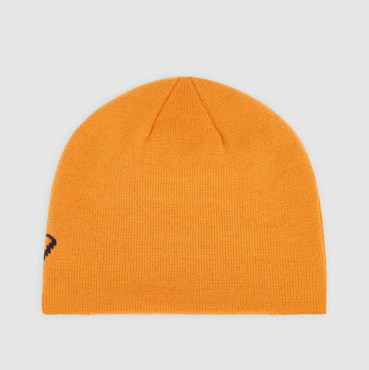 Dickies Summerdale Logo beanie autumn map - Shop-Tetuan