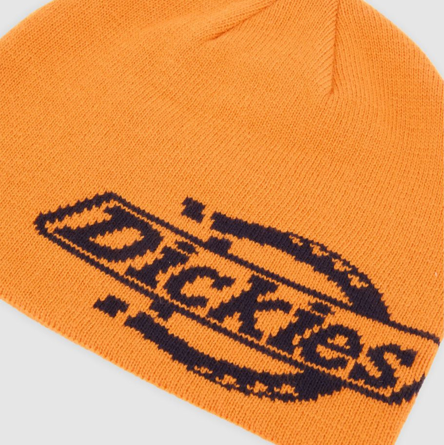 Dickies Summerdale Logo beanie autumn map - Shop-Tetuan