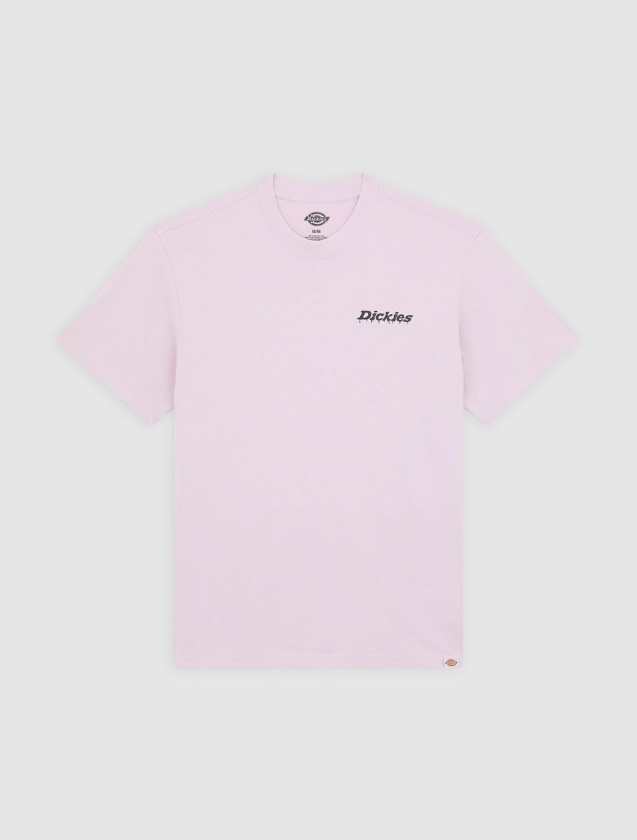 Dickies Statesville mid weight tee Peach Brulee - Shop-Tetuan