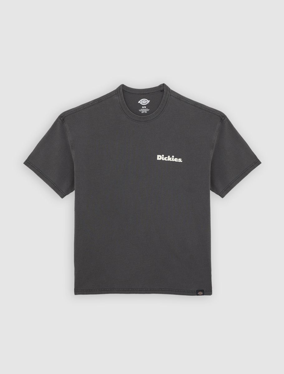 Dickies Slayden GD tee black - Shop-Tetuan