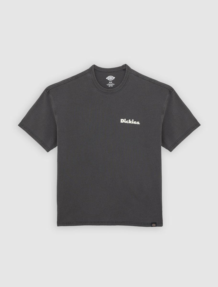 Dickies Slayden GD tee black - Shop-Tetuan
