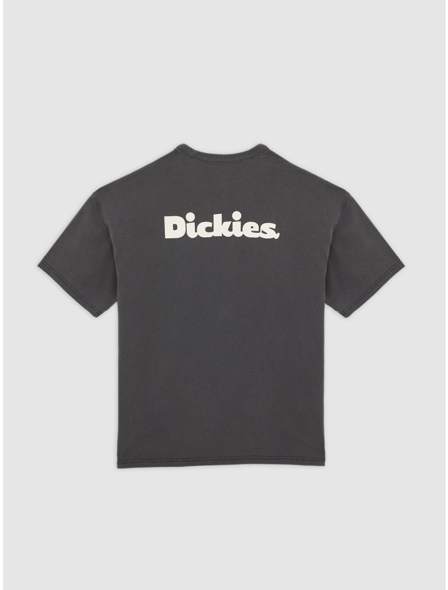 Dickies Slayden GD tee black - Shop-Tetuan