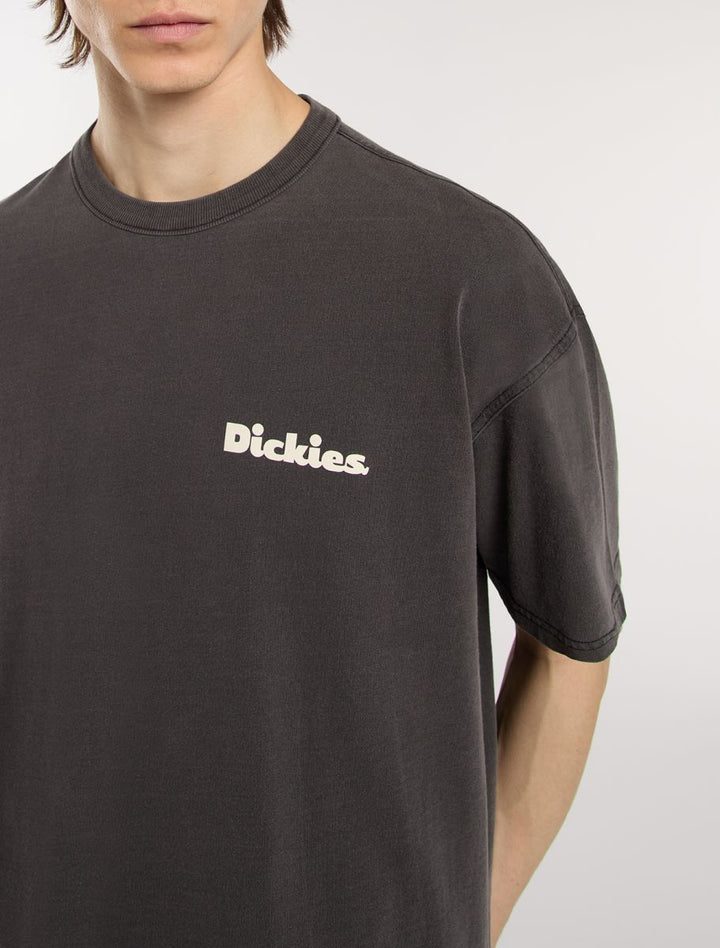 Dickies Slayden GD tee black - Shop-Tetuan