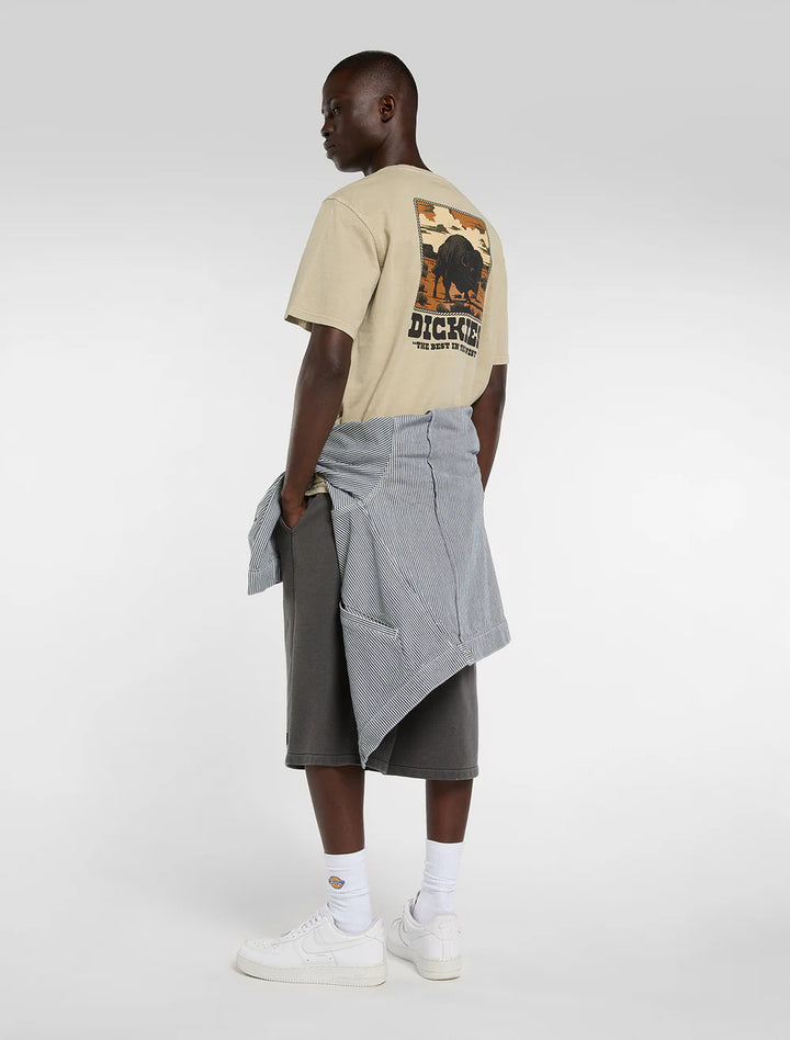 Dickies Darrtown midweight eucalyptus - Shop-Tetuan