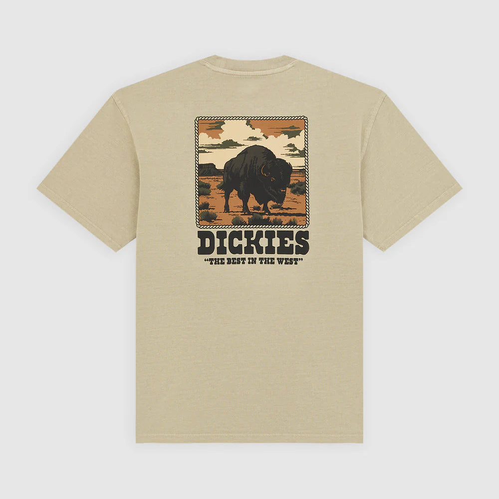Dickies Darrtown midweight eucalyptus - Shop-Tetuan