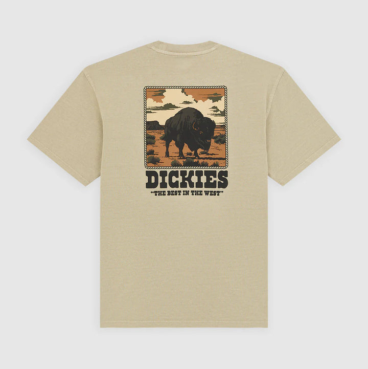 Dickies Darrtown midweight eucalyptus - Shop-Tetuan
