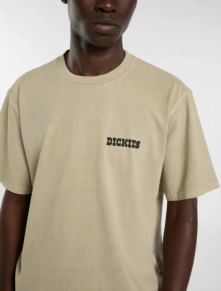 Dickies Darrtown midweight eucalyptus - Shop-Tetuan