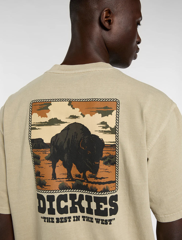 Dickies Darrtown midweight eucalyptus - Shop-Tetuan