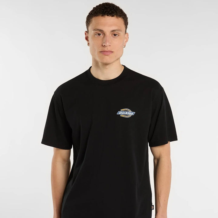 Dickies Paradise midweight tee black