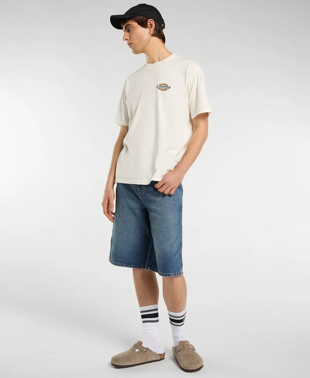 Dickies Paradise midweight tee egret