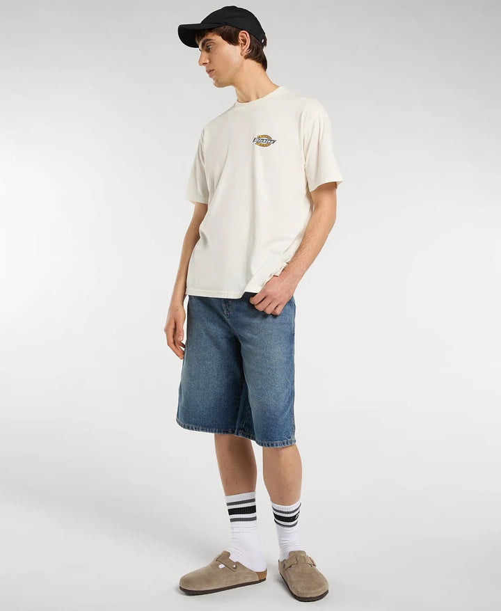 Dickies Paradise midweight tee egret