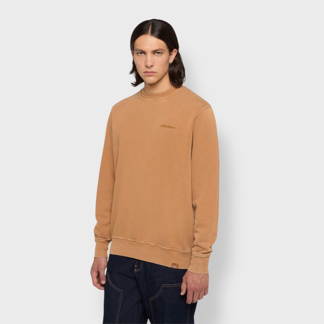 Dickies Plentywood sweatshirt brown - Shop-Tetuan