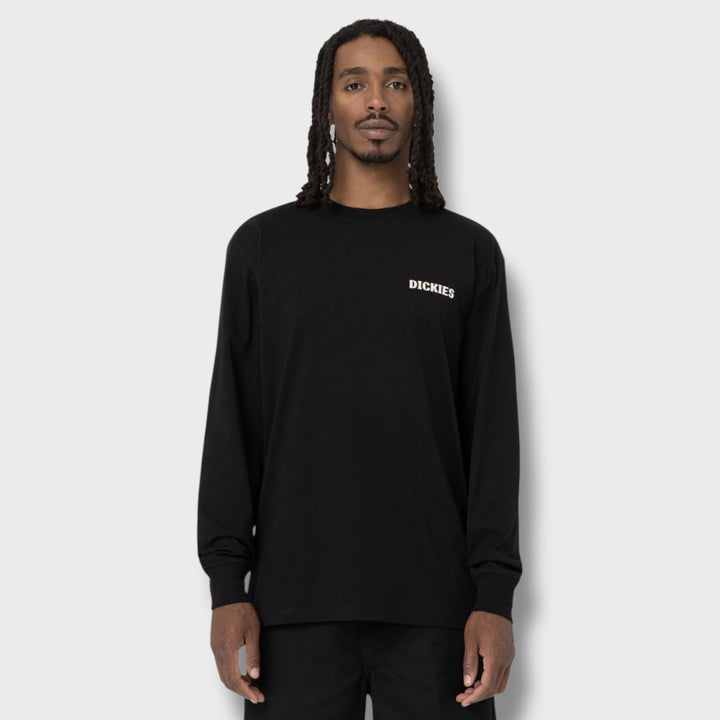 Dickies Hays long sleeve tee black