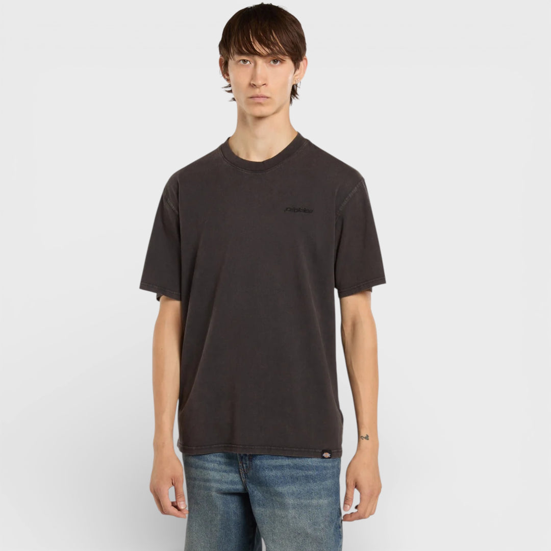 Dickies Plentywood lightweight tee black - Shop-Tetuan