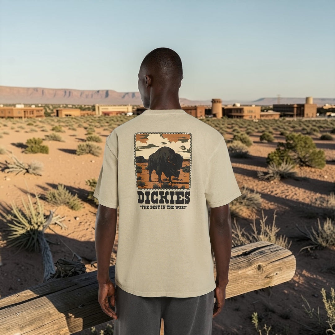 Dickies Darrtown midweight eucalyptus - Shop-Tetuan