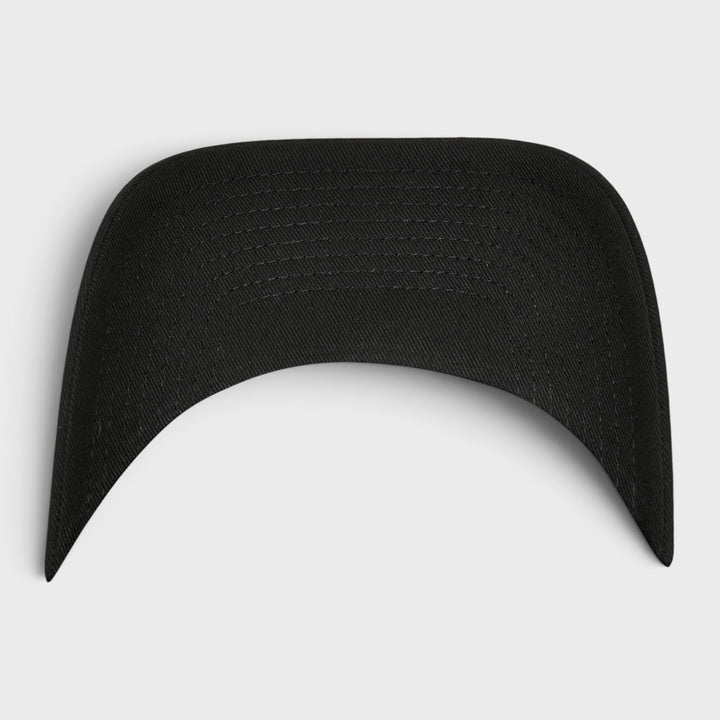 Flexfit 110 Curved Visor Snapback black