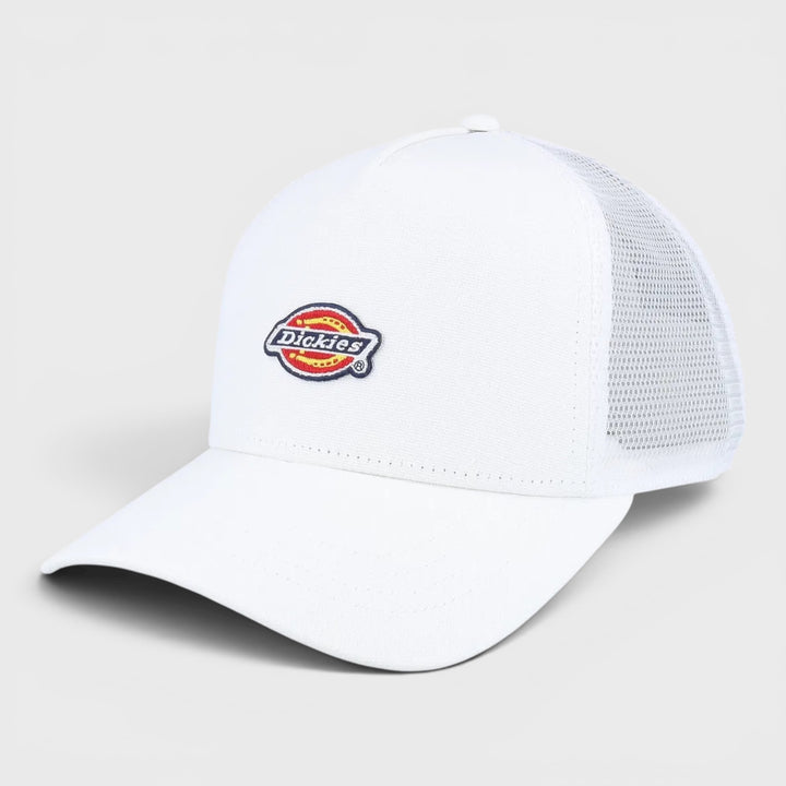 Dickies Hanston Trucker cap cloud