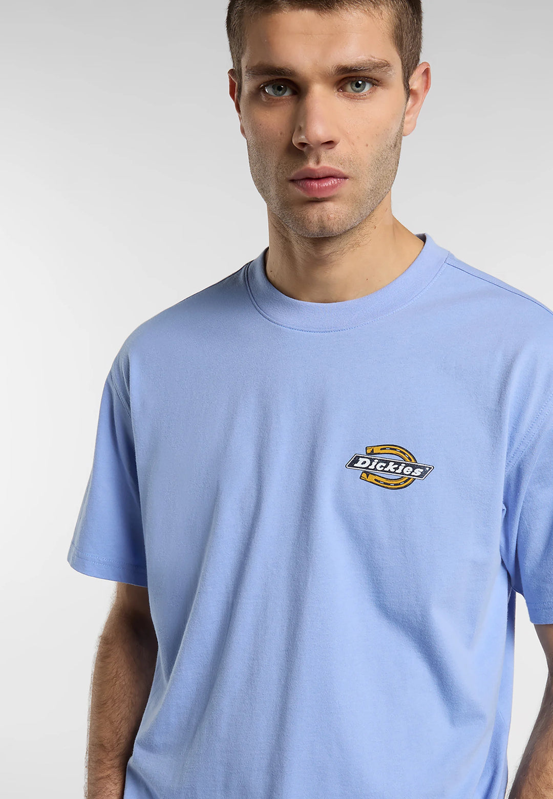 Dickies Paradise Midweight tee lavender purple